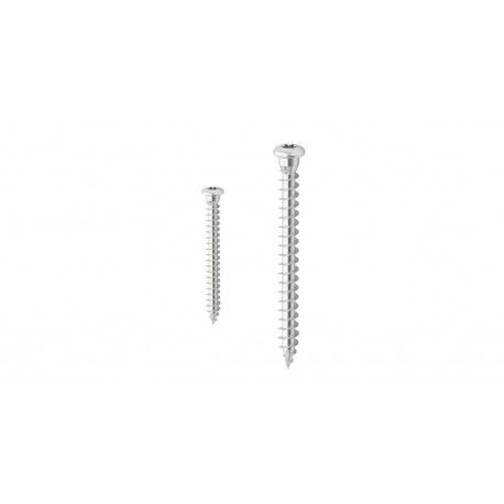 Vis à tête ronde et base plate LBS pour menuiserie