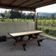 Table Banc de Pique-Nique Bois Douglas 2m 6 personnes Livraison Gratuite FR